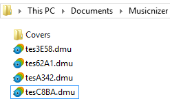 Musicnizer folder in Windows 8.1