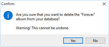 Confirm deleting the album